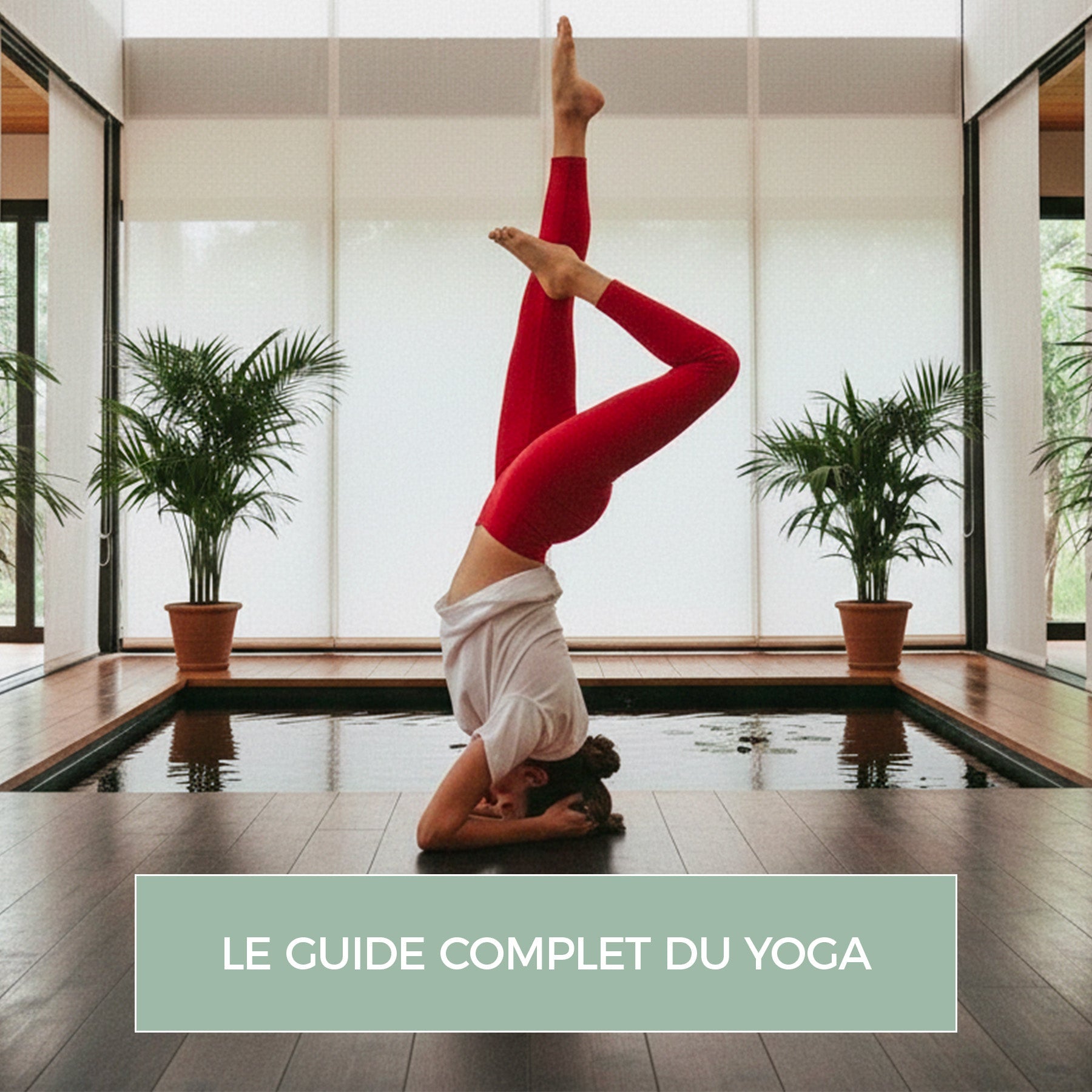 Le Guide Complet du Yoga